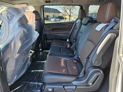2026 Honda Odyssey Elite