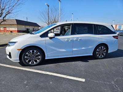 2026 Honda Odyssey Elite