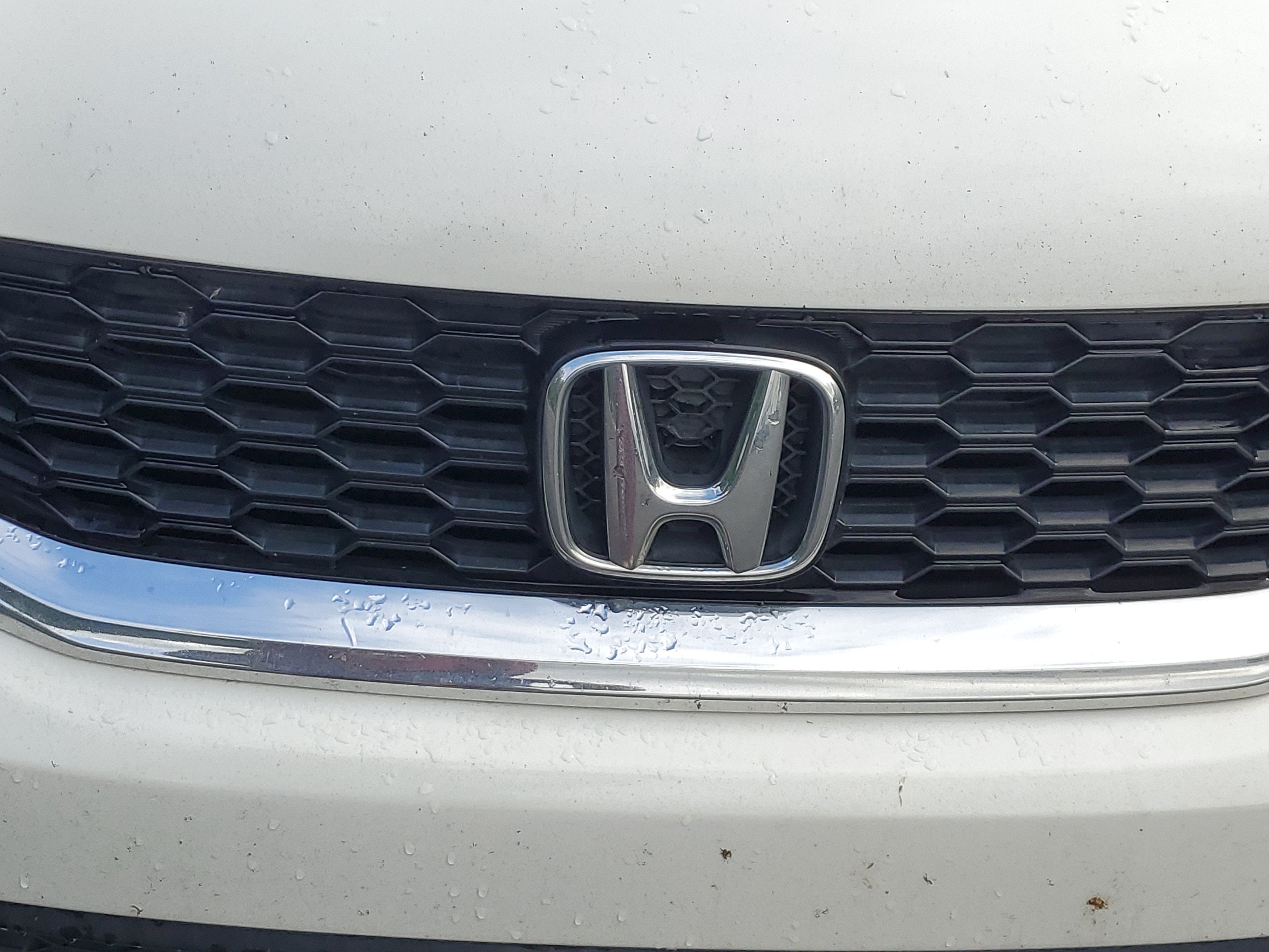 2013 Honda Accord Cpe EX-L