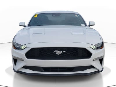 2022 Ford Mustang EcoBoost