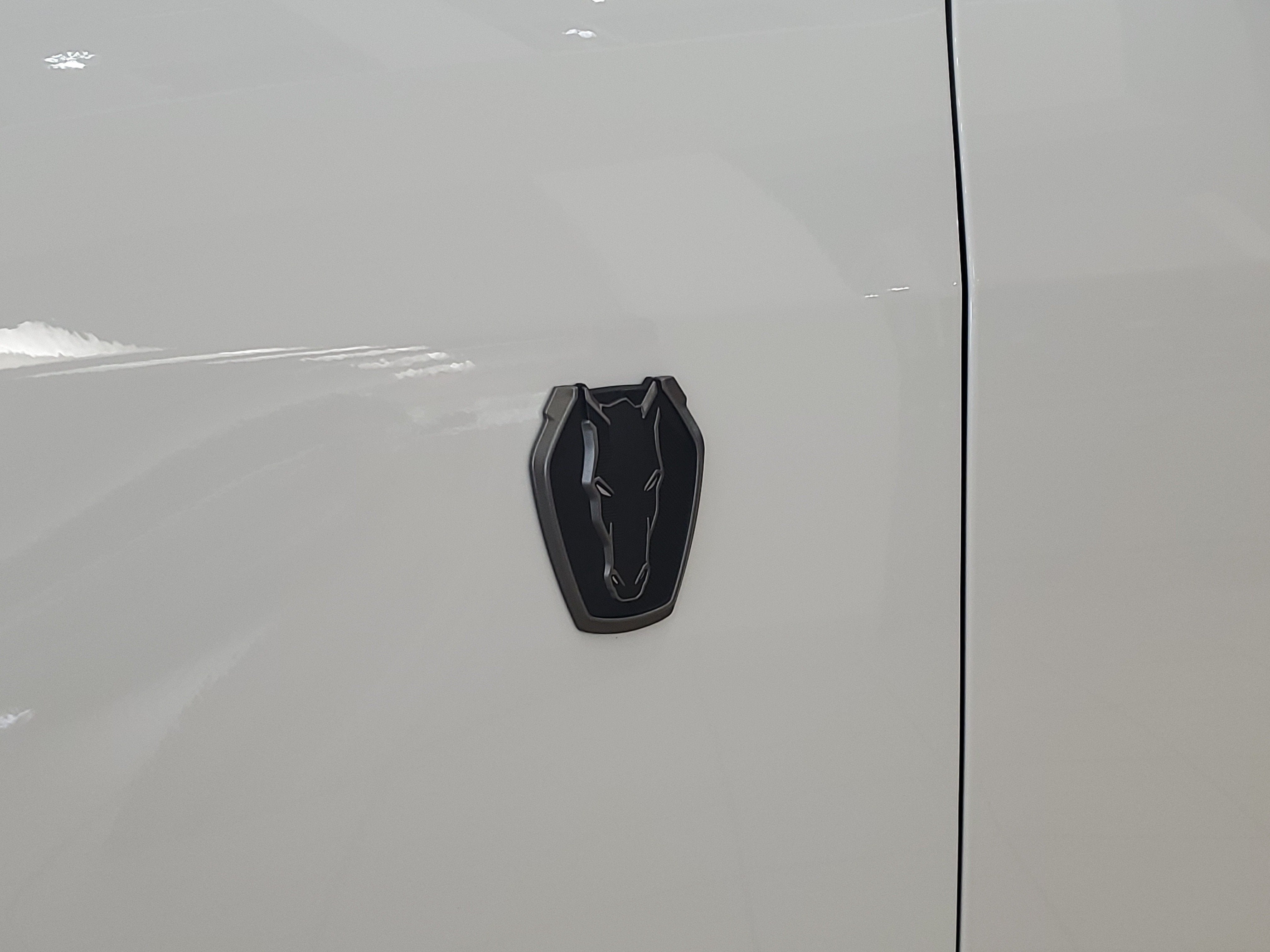 2024 Ford Mustang Dark Horse