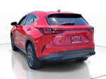 2023 Lexus NX 250 Premium